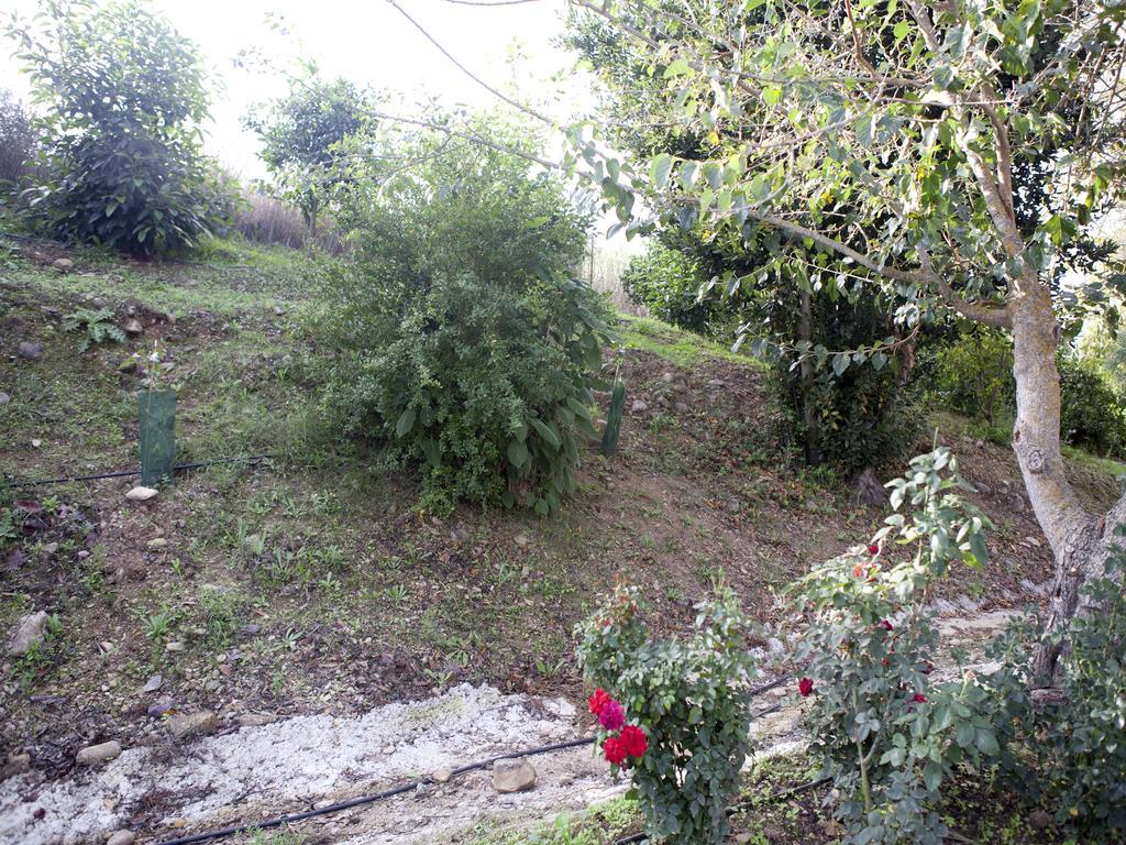 San Pablo Casa Rural Vega El Dorado מראה חיצוני תמונה